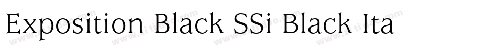 Exposition Black SSi Black Italic字体转换
